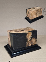 socle sfan 003 