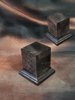 socle sae040