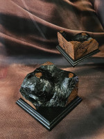 socle sae069