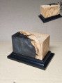 socle sfan 004