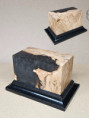 socle sfan 038