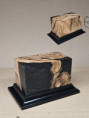 socle sfan 003 