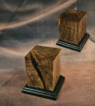 socle sae 009