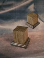 socle sae 018